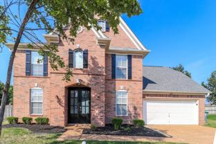 2294 Purple Leaf Cv - Photo 1 of 1