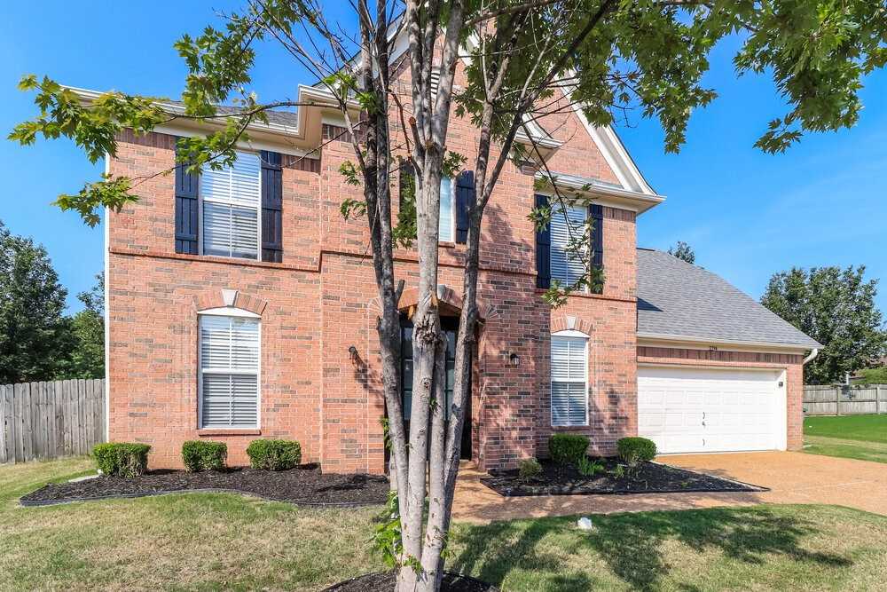 2294 Purple Leaf Cv - Photo 4 of 17