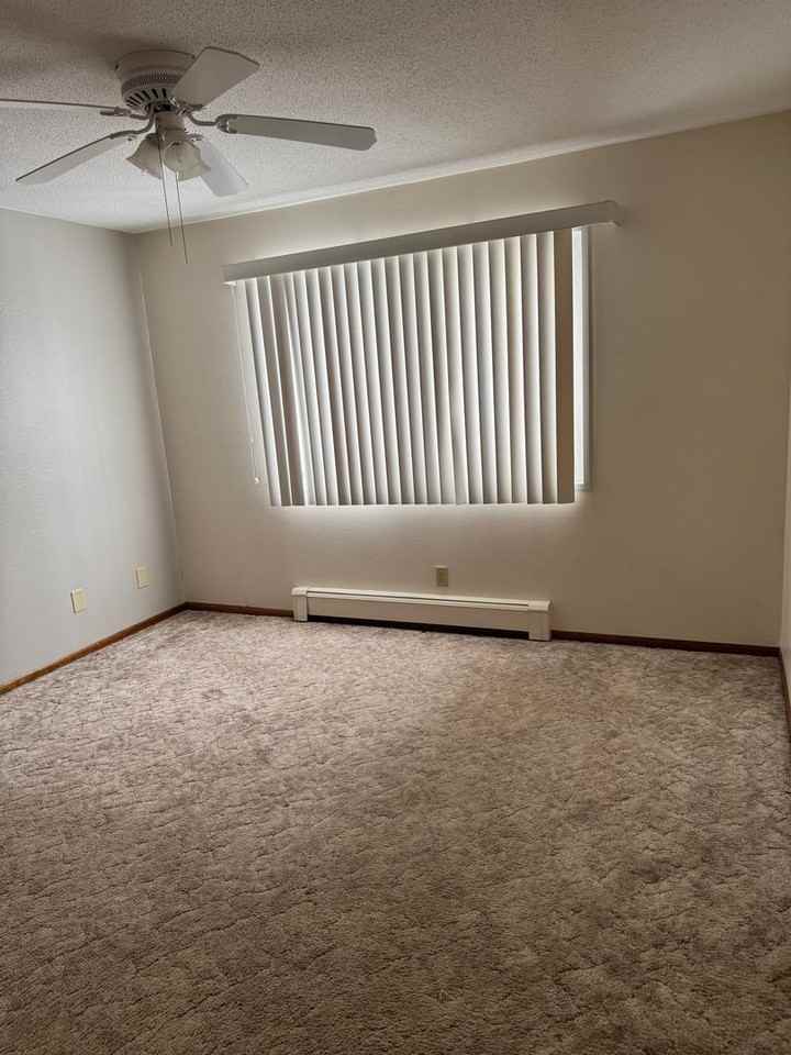 426 Shirley Street - Photo 4 of 11