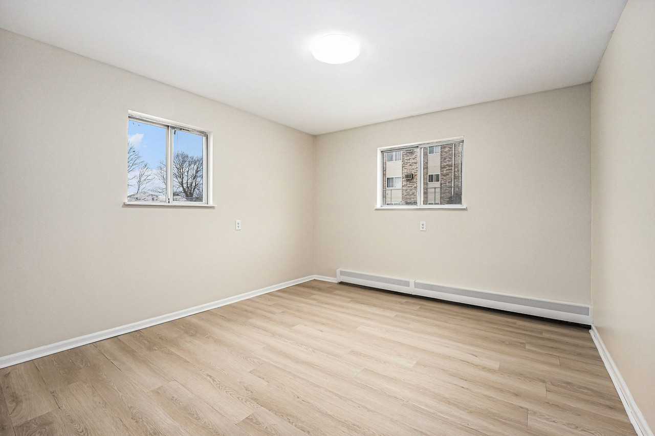 Bram - Photo 7 of 11