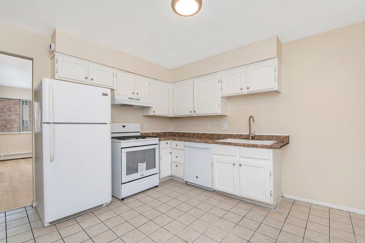 Bram - Photo 4 of 11