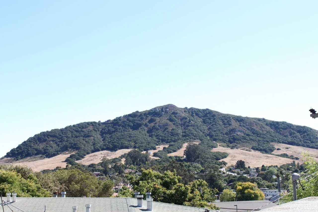 491 N Chorro St - Photo 5 of 22