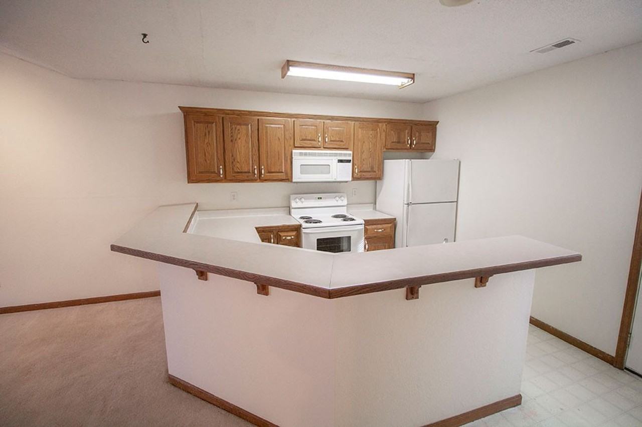 1318 Valley Creek Ln - Photo 6 of 27