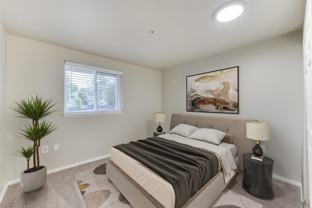 775 Cascade St - Photo 1 of 1