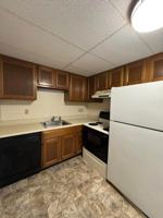 featured image of 241 Pearl Street