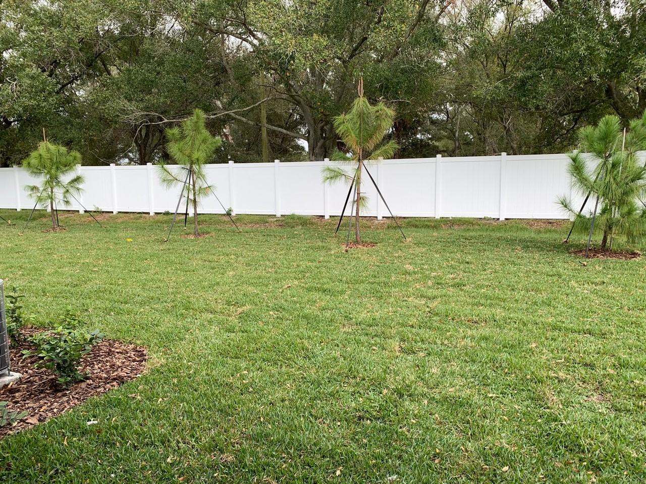 3824 3824 Cat Mint ST - 3824 Cat Mint ST - Photo 7 of 48