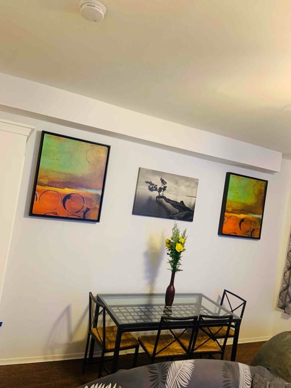 1721 Guilford Ave #1 - Photo 3 of 12