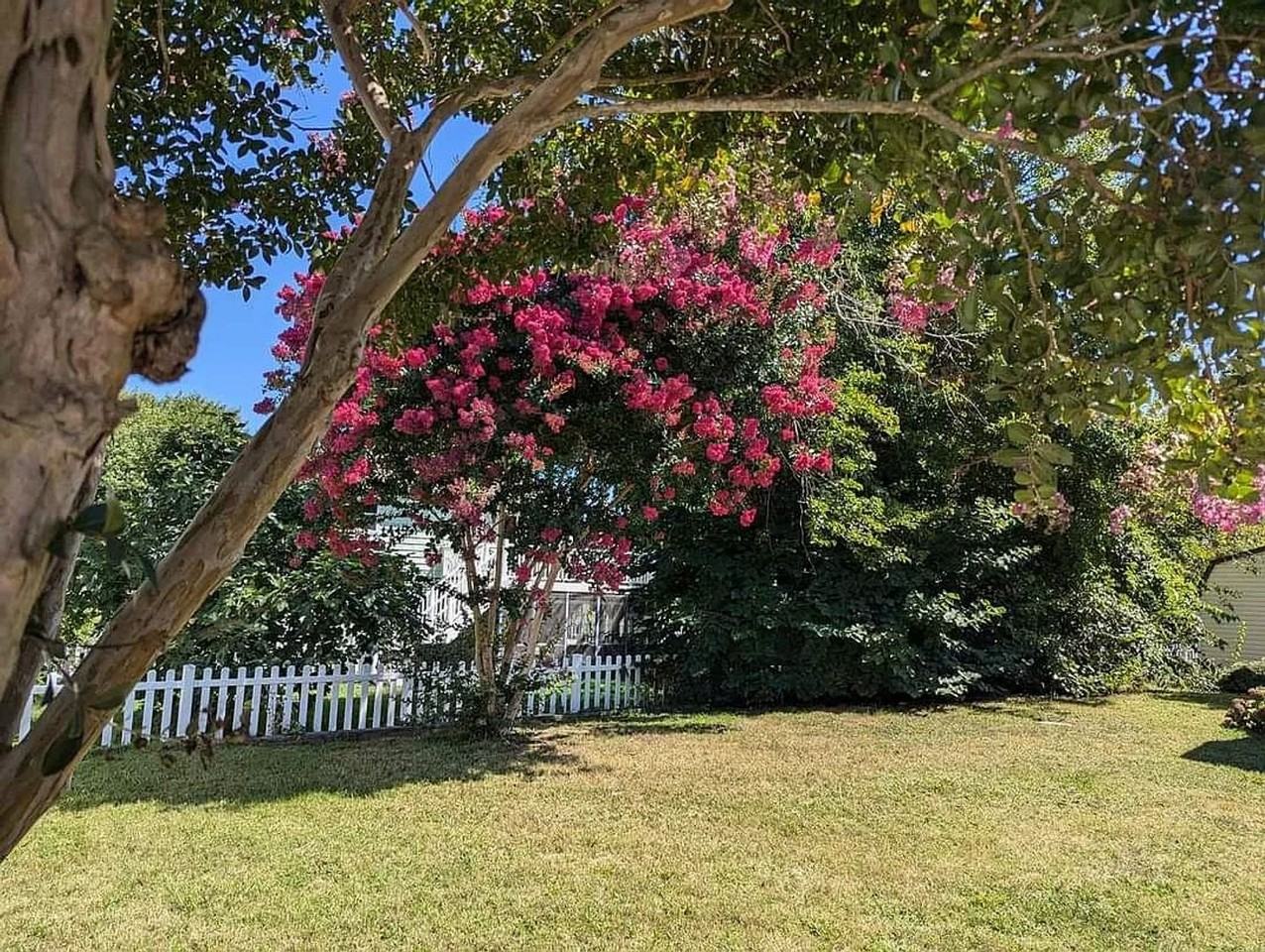 812 Cold Spring Ave - Photo 2 of 12