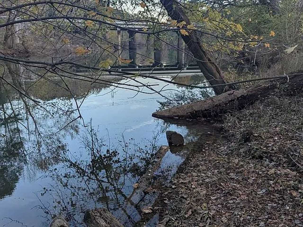 168 Sweetens Cove Rd - Photo 3 of 28