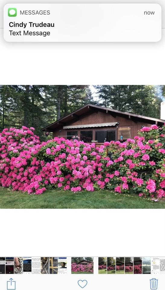 10706 Pioneer Dr #NA - Photo 2 of 17