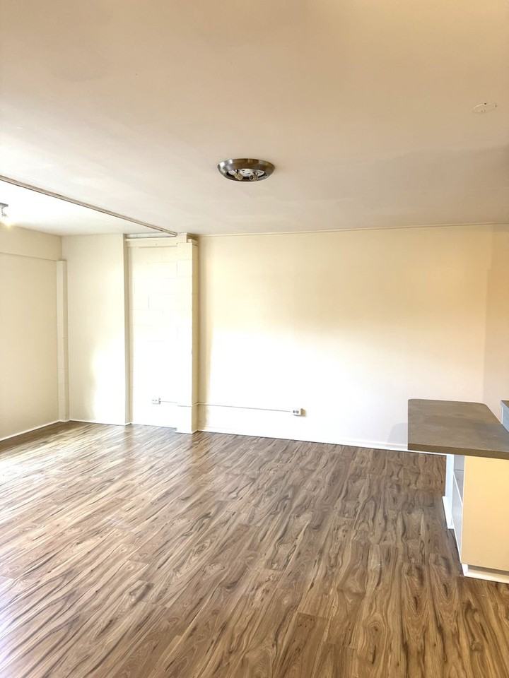 162 Puiwa Rd - Photo 3 of 9