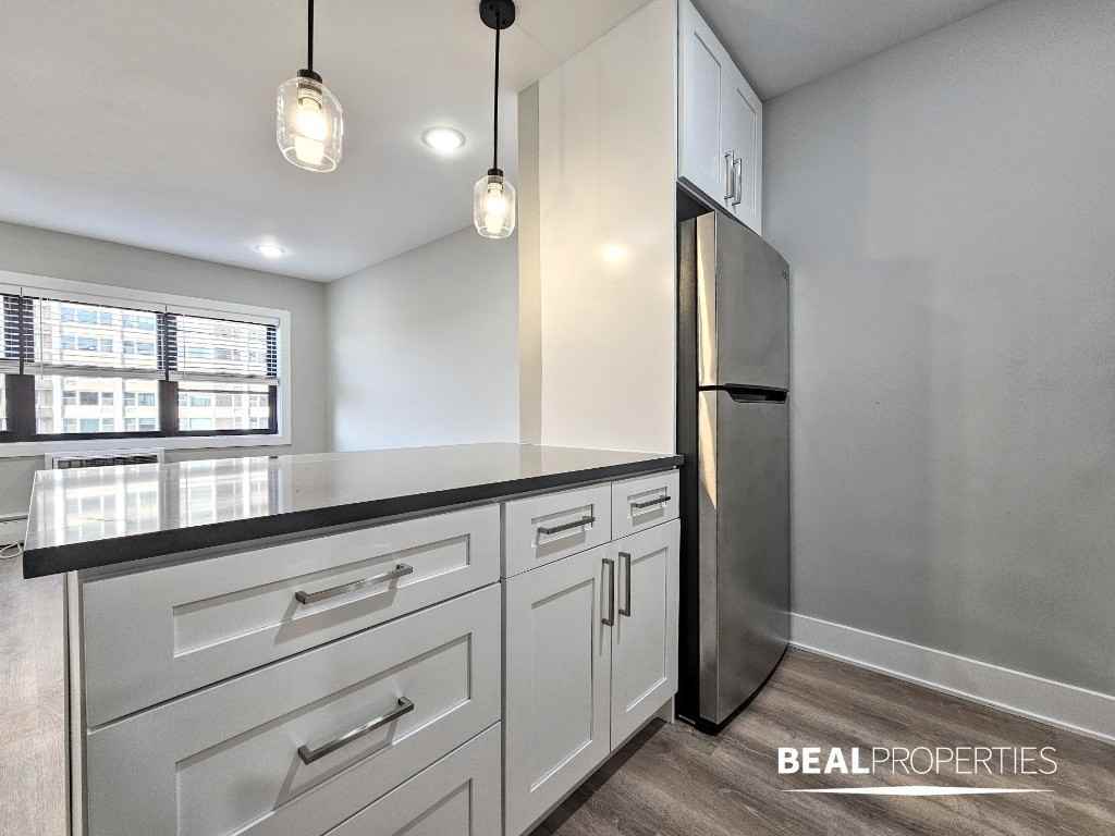 555 W Stratford Pl #503 - Photo 7 of 11