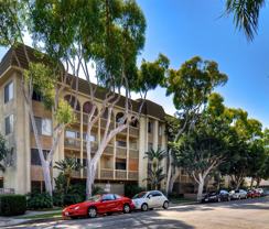 Pallas Athena - Photo 1 of 1