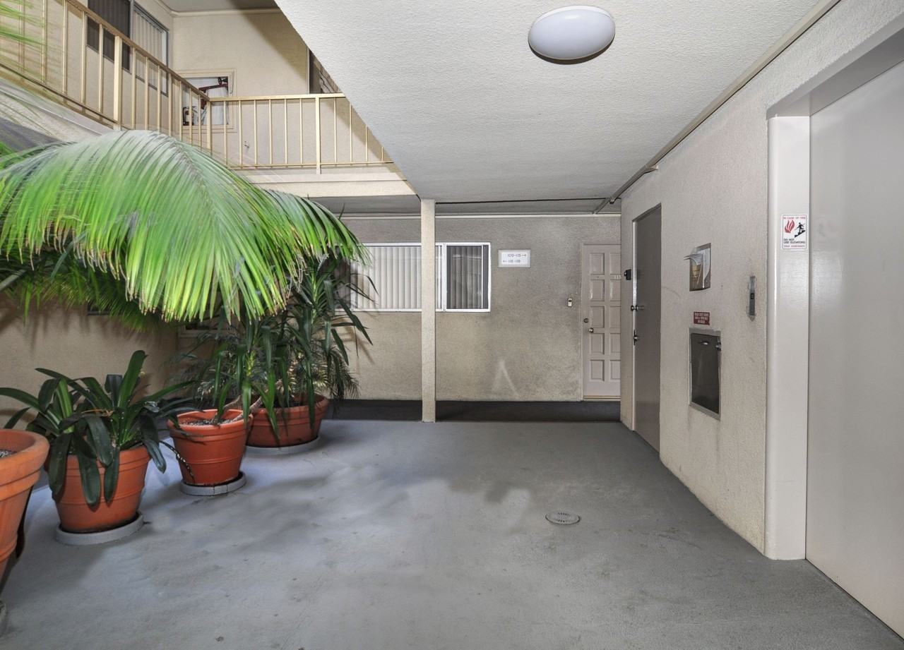 Pallas Athena - Photo 5 of 6