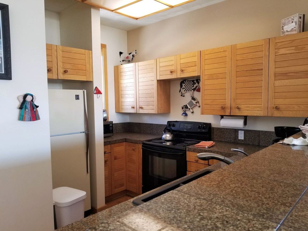 433 Salt Lick Cir - Photo 3 of 14