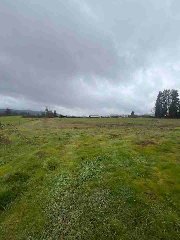 34230 Christmas Tree Ln - Photo 2 of 11