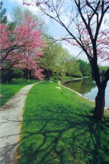 Willow Creek I - Photo 2 of 43