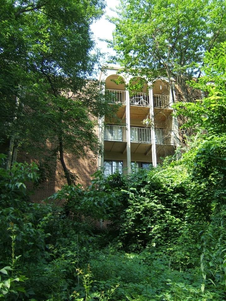 Willow Creek I - Photo 5 of 43