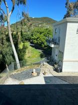 21154 Saddle Peak Rd - Photo 1 of 1