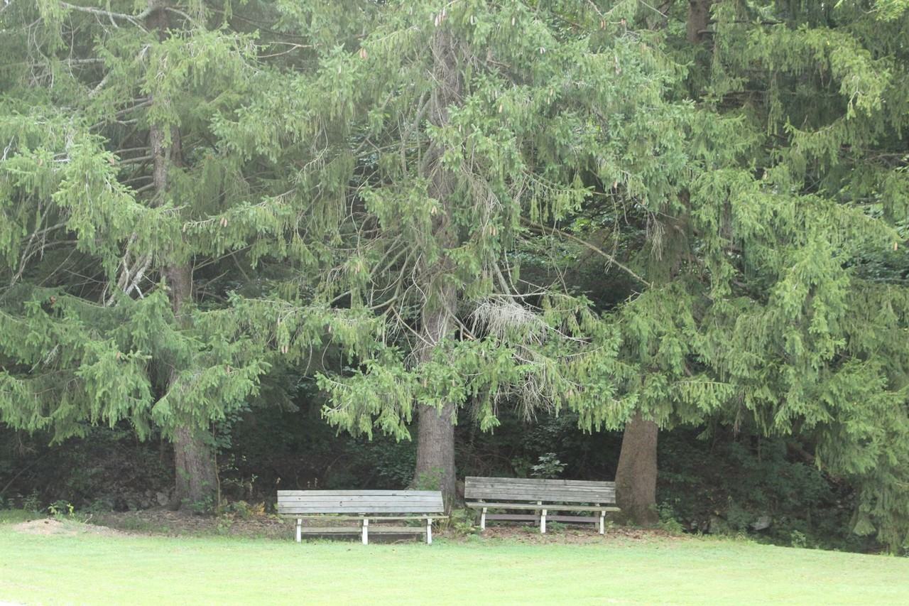 954 Toad Valley Rd - Photo 2 of 9