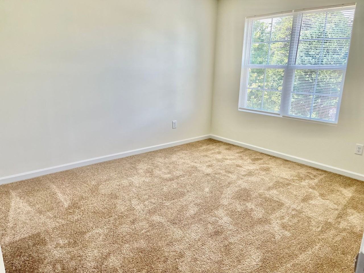 948 Brentwood Park Ln - Photo 5 of 45