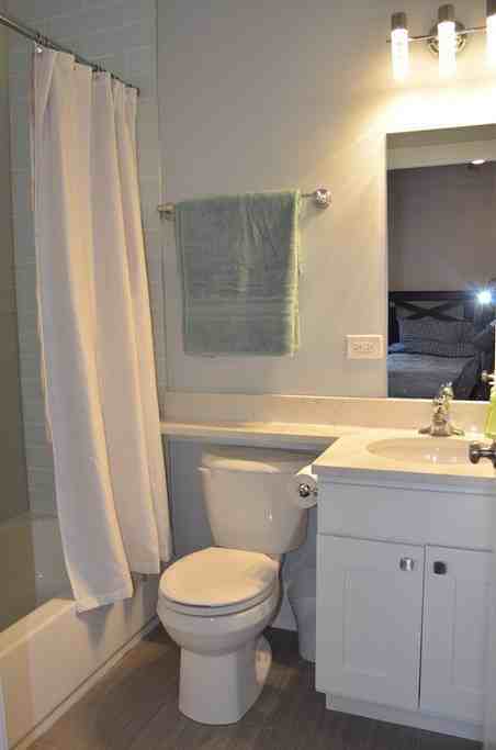 735 W Belmont Ave #1F - Photo 4 of 18