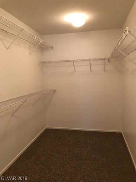 4071 Blue Wildrye St - Photo 6 of 6