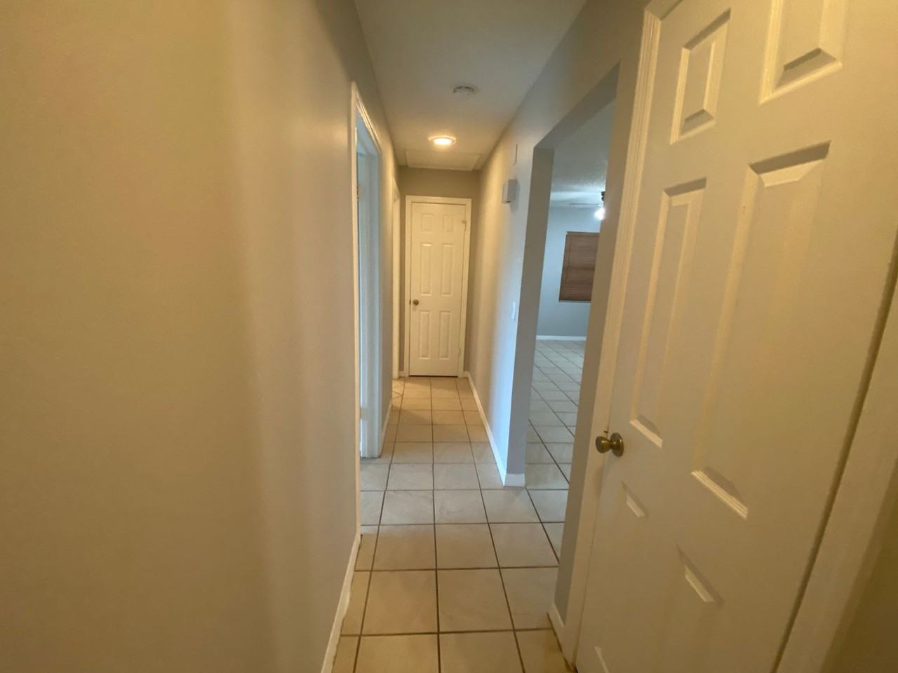 2704 Tortoise Cv - Photo 6 of 15