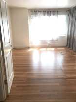 Leroy - Photo 1 of 1