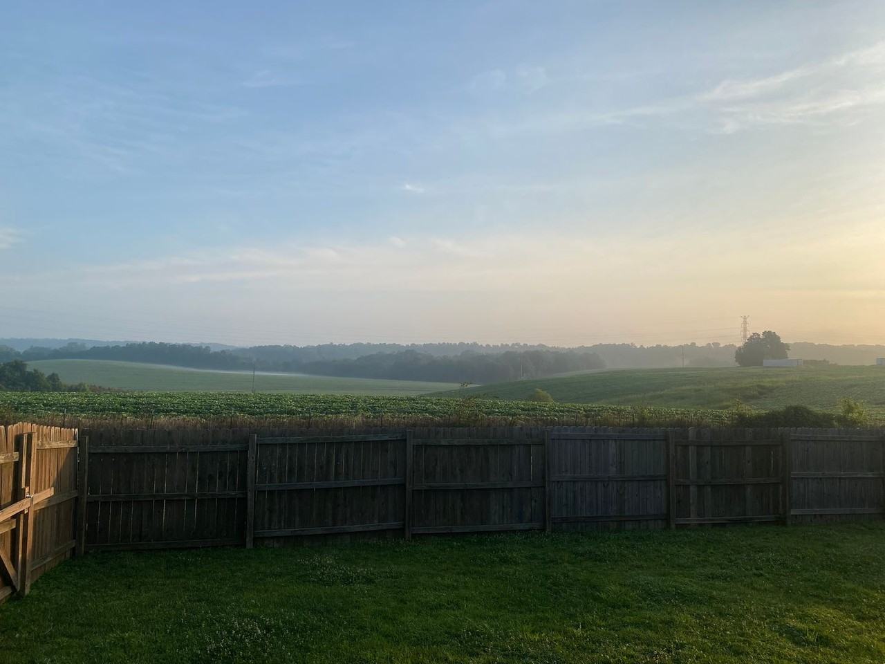 2997 Brewster Dr - Photo 3 of 50