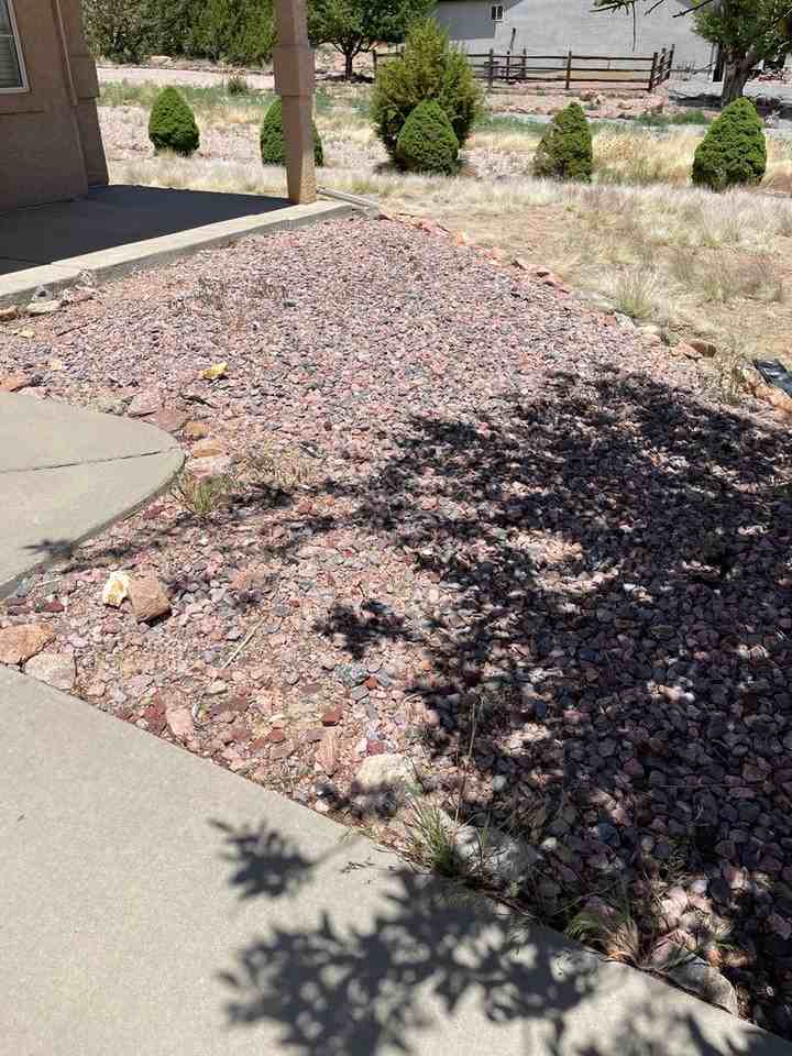 55 Wild Rose Dr - Photo 2 of 24