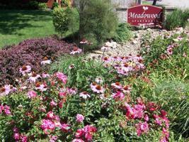 featured image of 3356 Meadowood Dr