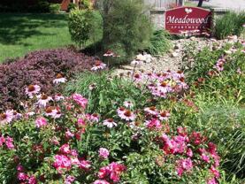 3356 Meadowood Dr - Photo 1 of 1