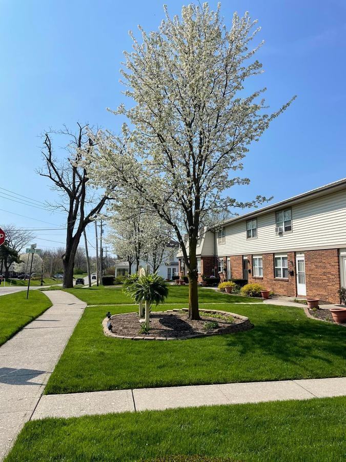 749 N Maple St - Photo 6 of 37