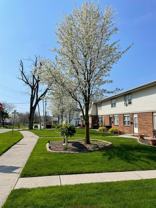 749 N Maple St - Photo 1 of 1