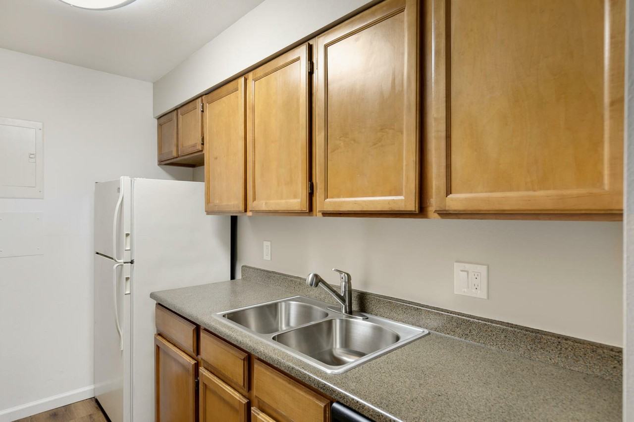 PINETREE Apts - Photo 5 of 19