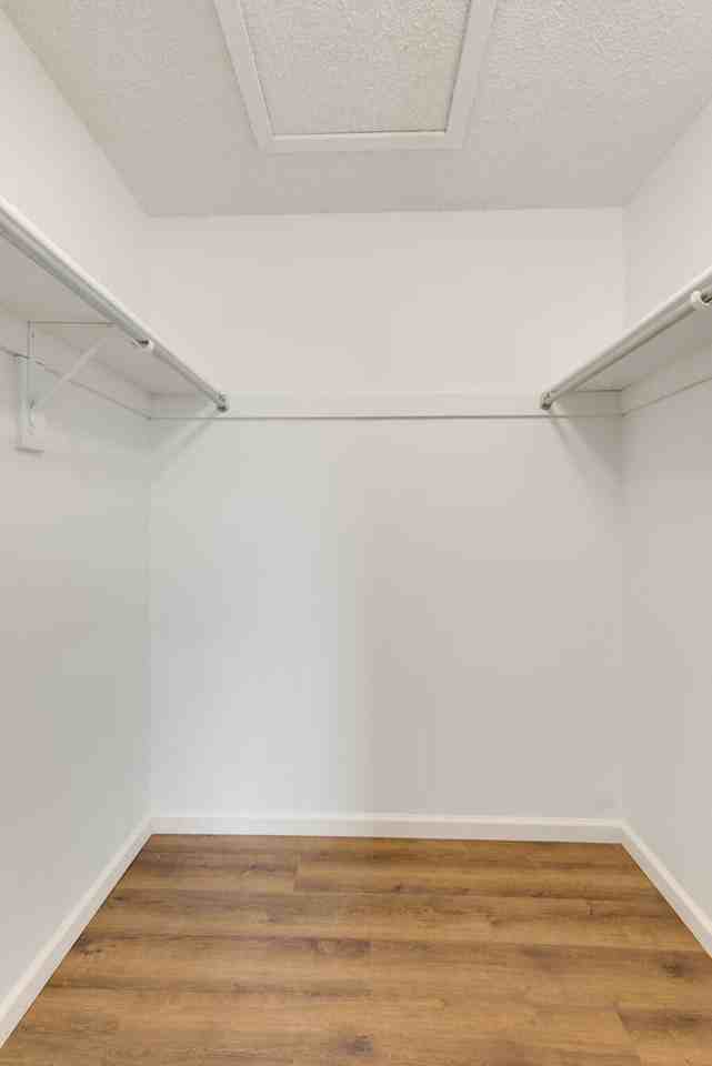 PINETREE Apts - Photo 7 of 19