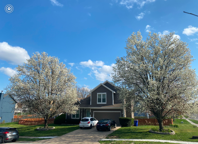 1549 W Dartmouth St - Photo 2 of 22