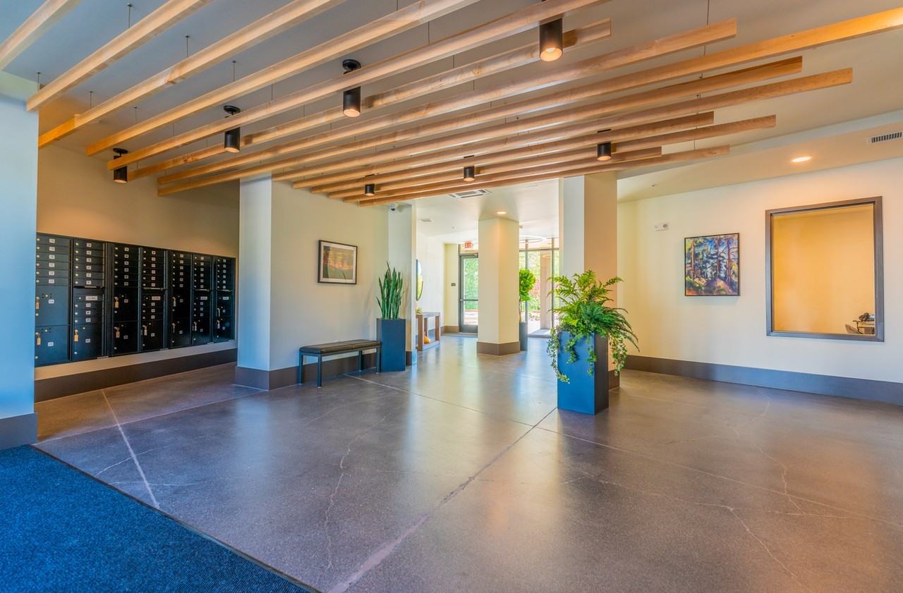 Celestia - Photo 5 of 50