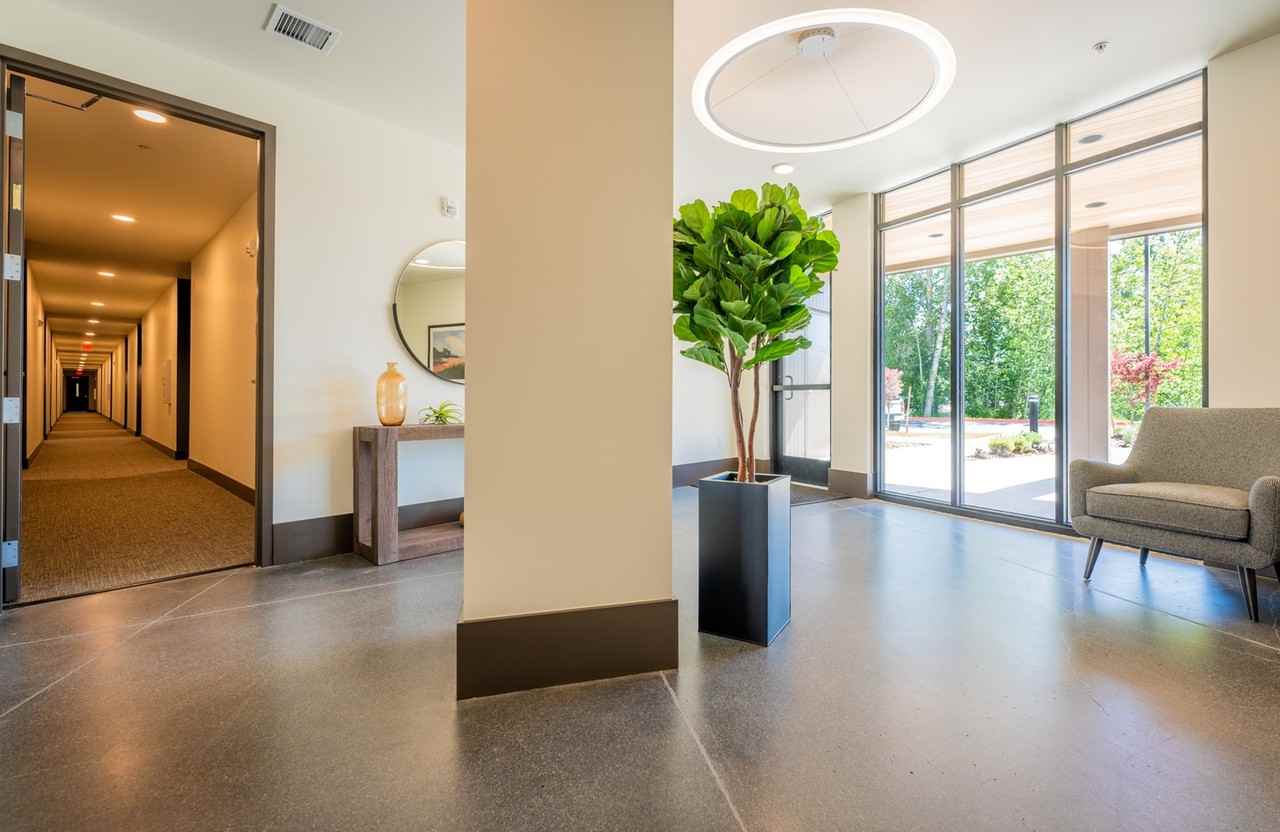 Celestia - Photo 6 of 50