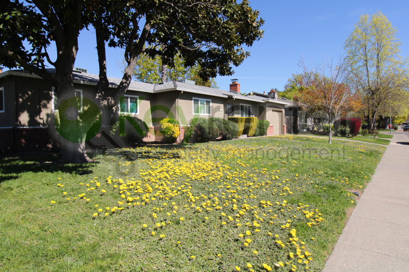 1121 27th Ave - Photo 3 of 32