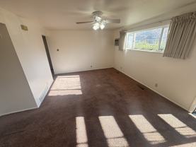 Jodel - Photo 1 of 1