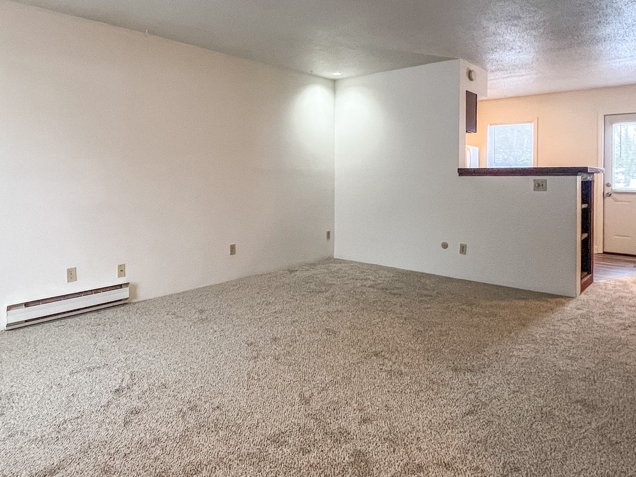 515 White Street - Photo 3 of 13