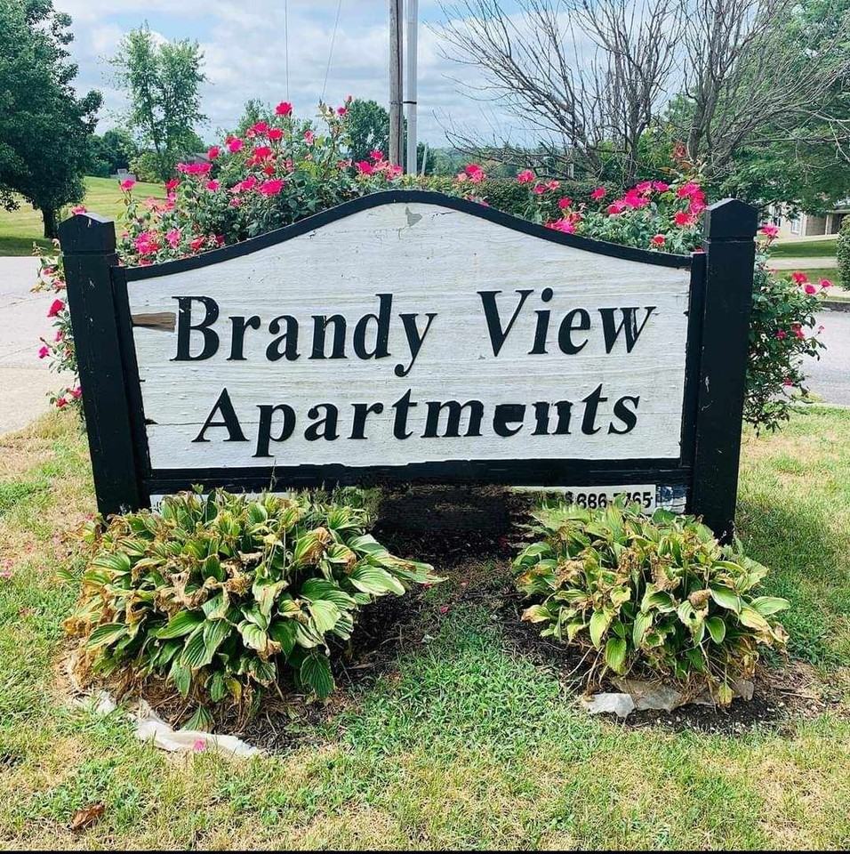 Brandy View Apartments - Photo 6 of 18