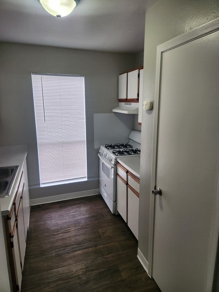 Valley Island Palms (Talmud Torah) - Photo 5 of 37