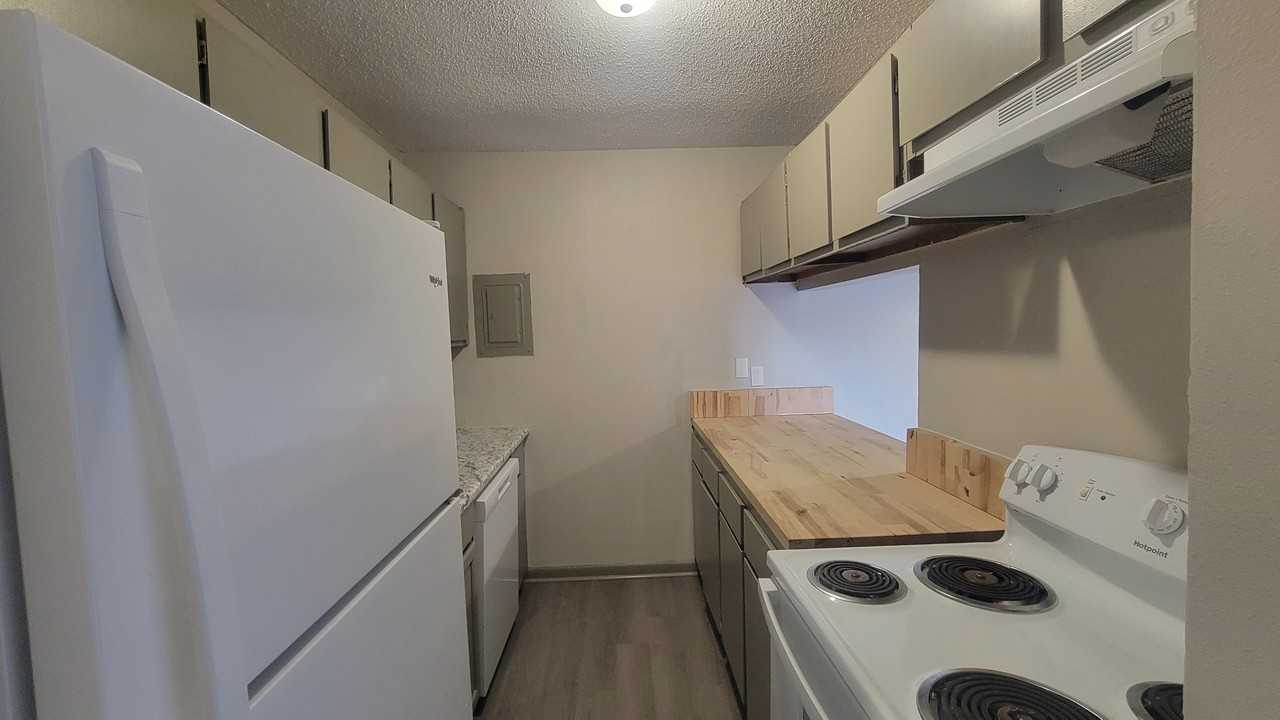 1704 Anderson Street - Photo 5 of 35