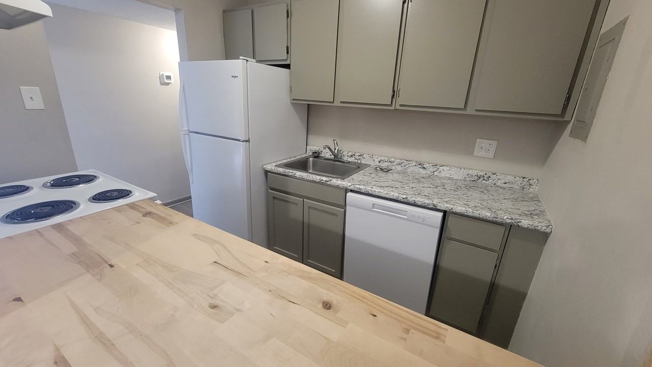 1704 Anderson Street - Photo 6 of 35