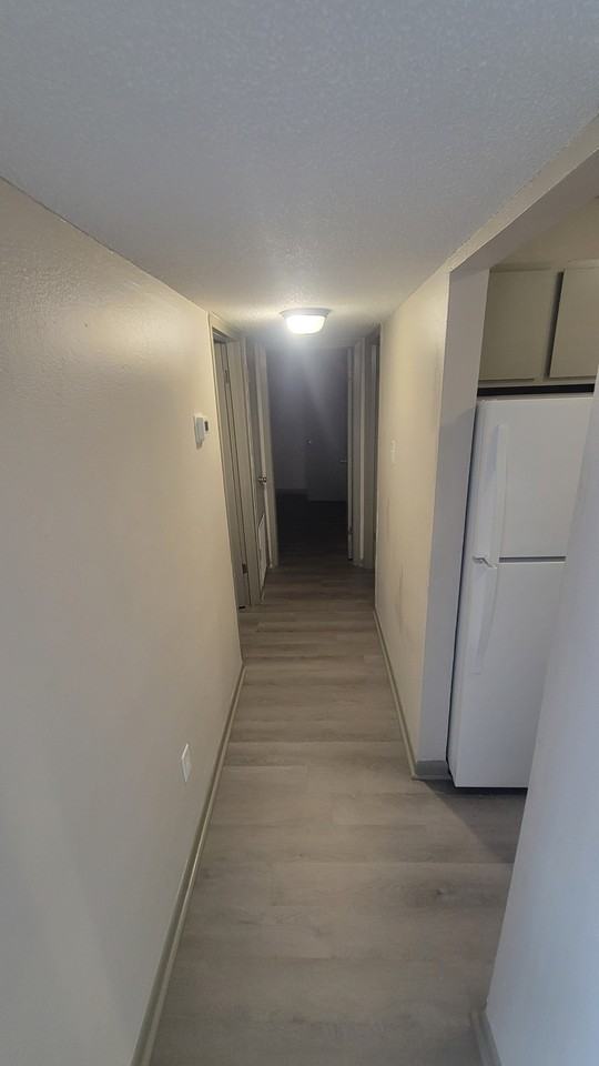 1704 Anderson Street - Photo 7 of 35