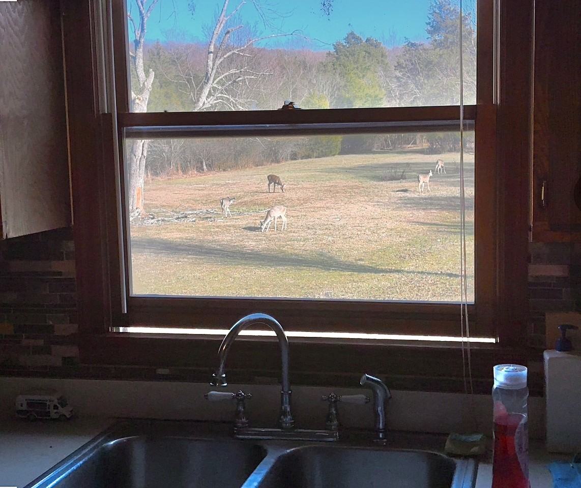 134 Church Cross Rd - Photo 5 of 42