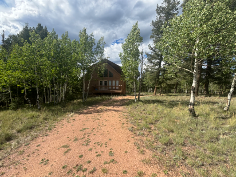 163 Lost Lake Dr - Photo 3 of 20